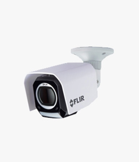 Owl Camera 1 - Image 2